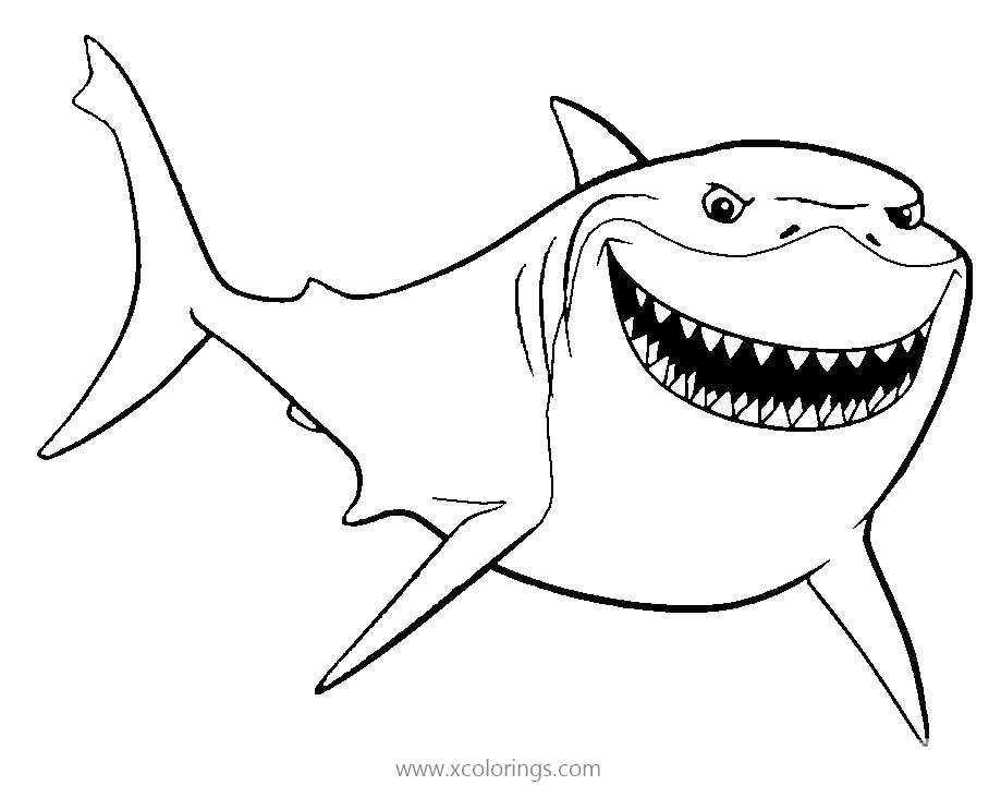 sea life great white shark coloring page  xcolorings