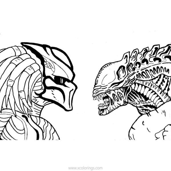 Predator Coloring Pages Artwork - XColorings.com