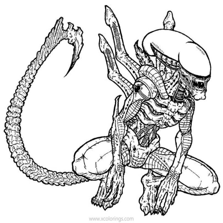 Predator Outline Coloring Pages - XColorings.com