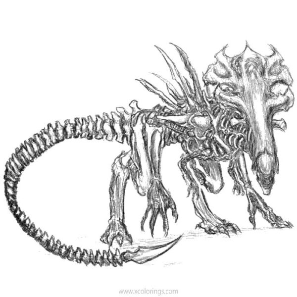 Predator Coloring Pages Free and Printable - XColorings.com