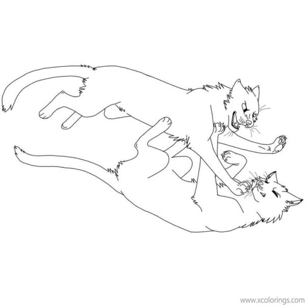 Cats Fighting Coloring Page Coloring Pages