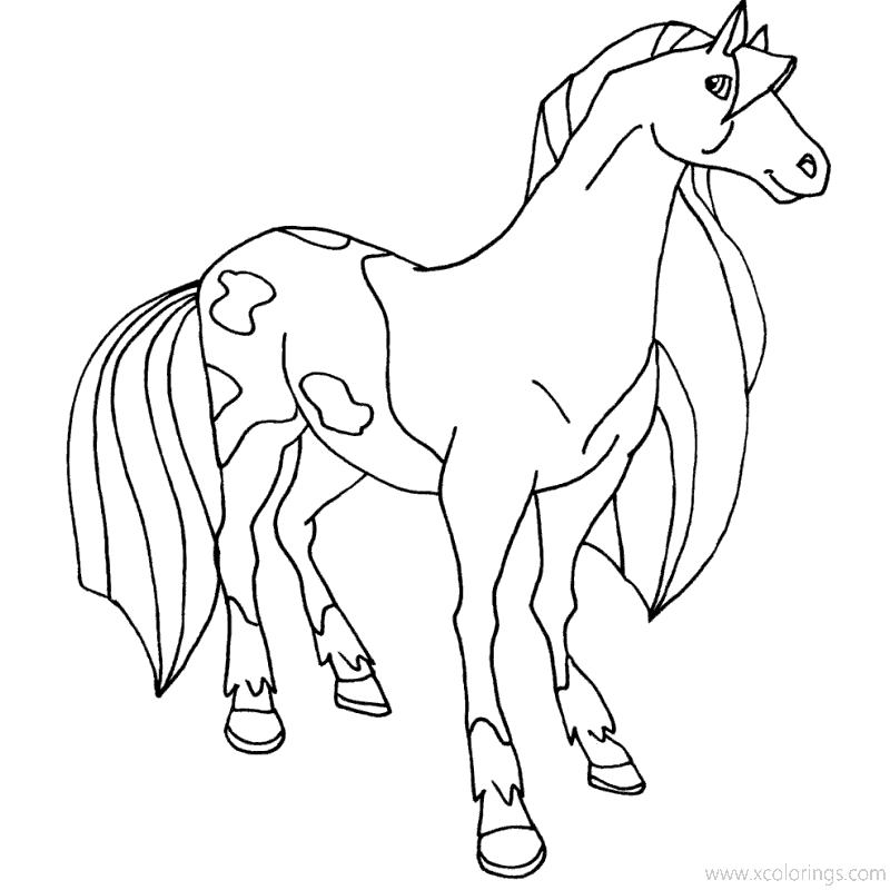 Horseland Coloring Pages Horse Calypso - XColorings.com