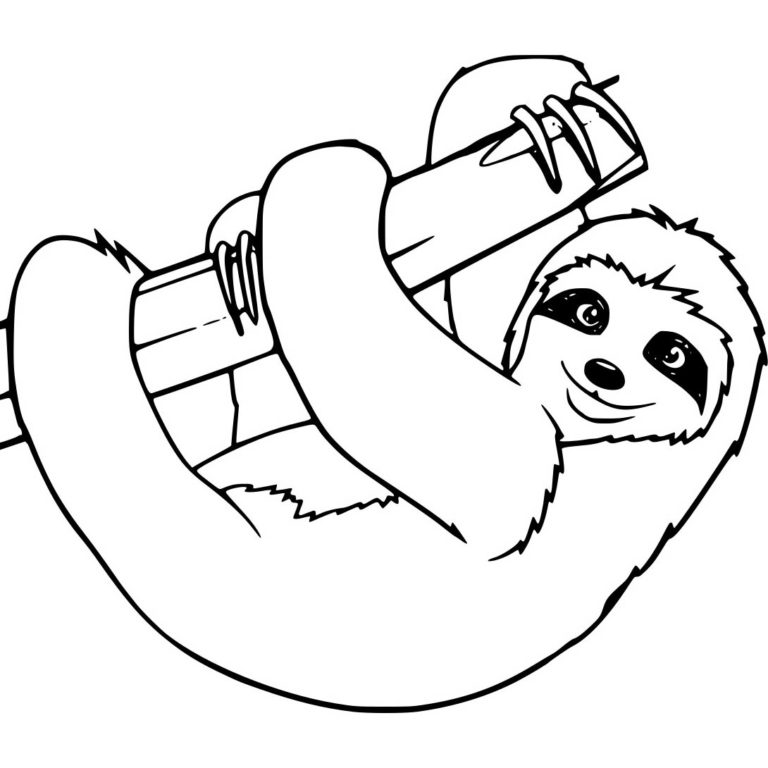 Printable Sloth Coloring Pages - Customize and Print