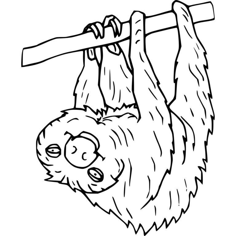 Cartoon Sloth Coloring Pages - XColorings.com